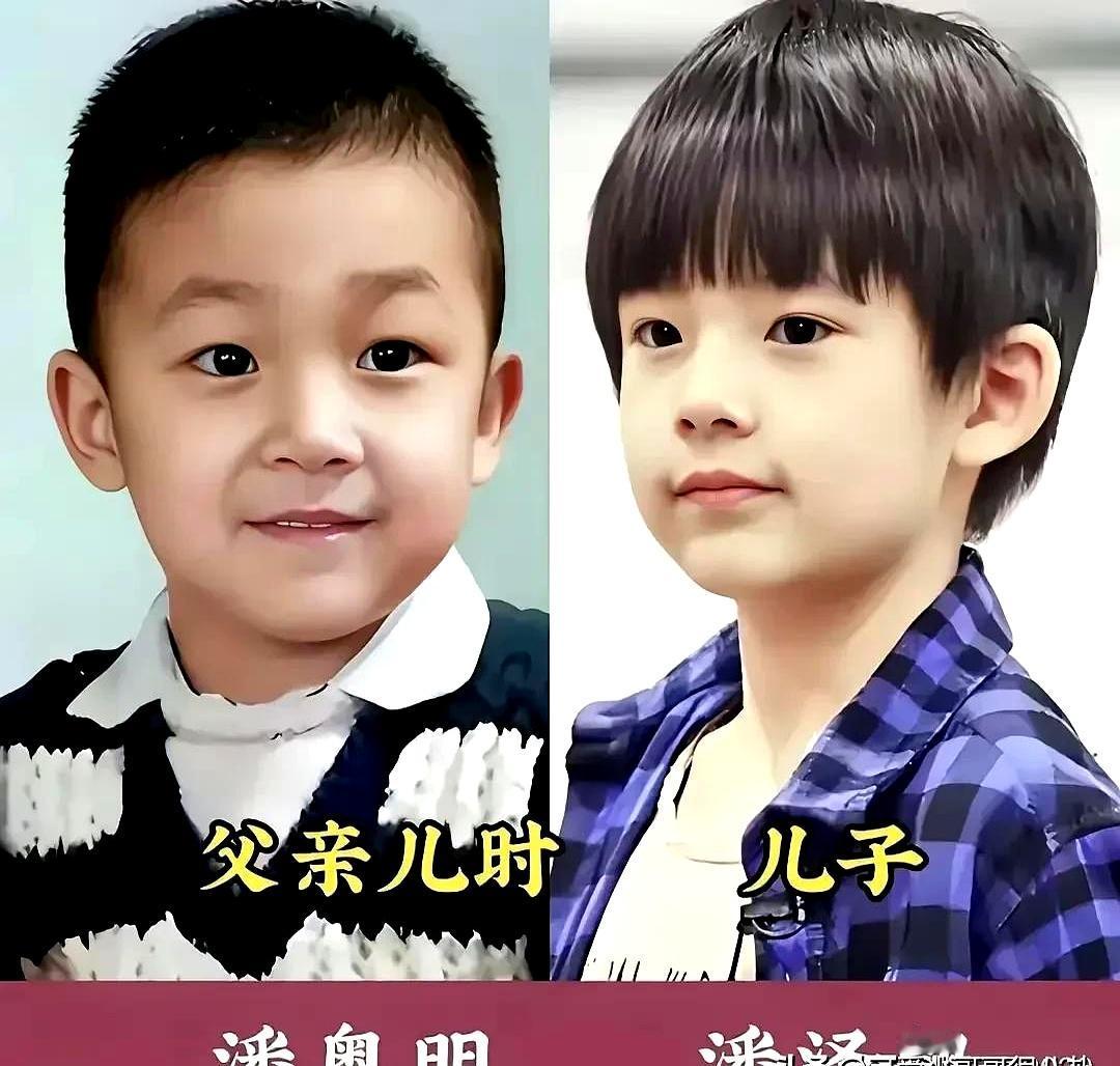 你说基因强大这事儿是不是玄学？看看娱乐圈那些明星父子，简直跟复制粘贴一样！