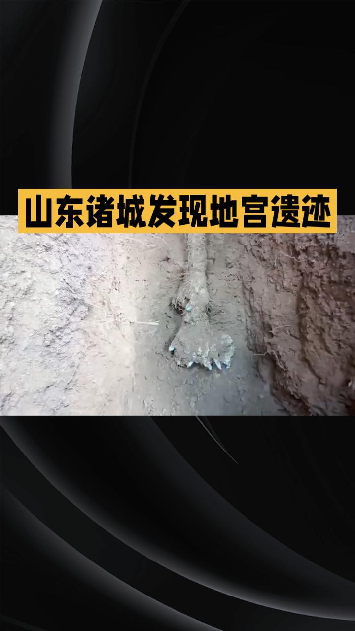 在山东诸城，山药竟然挖出了地宫的秘密？这一发现令人惊叹不已！在山东诸城，人们通