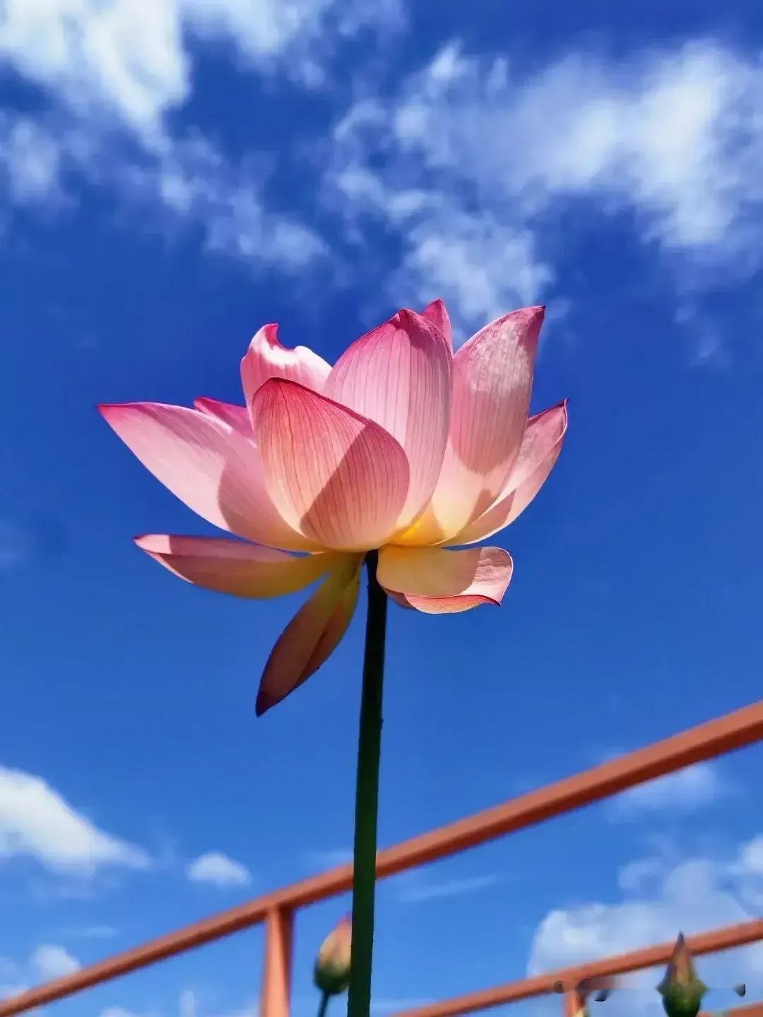 一个男人只要你挣不到钱没有一个正经职业不管你在家里面付出再多努力就算家