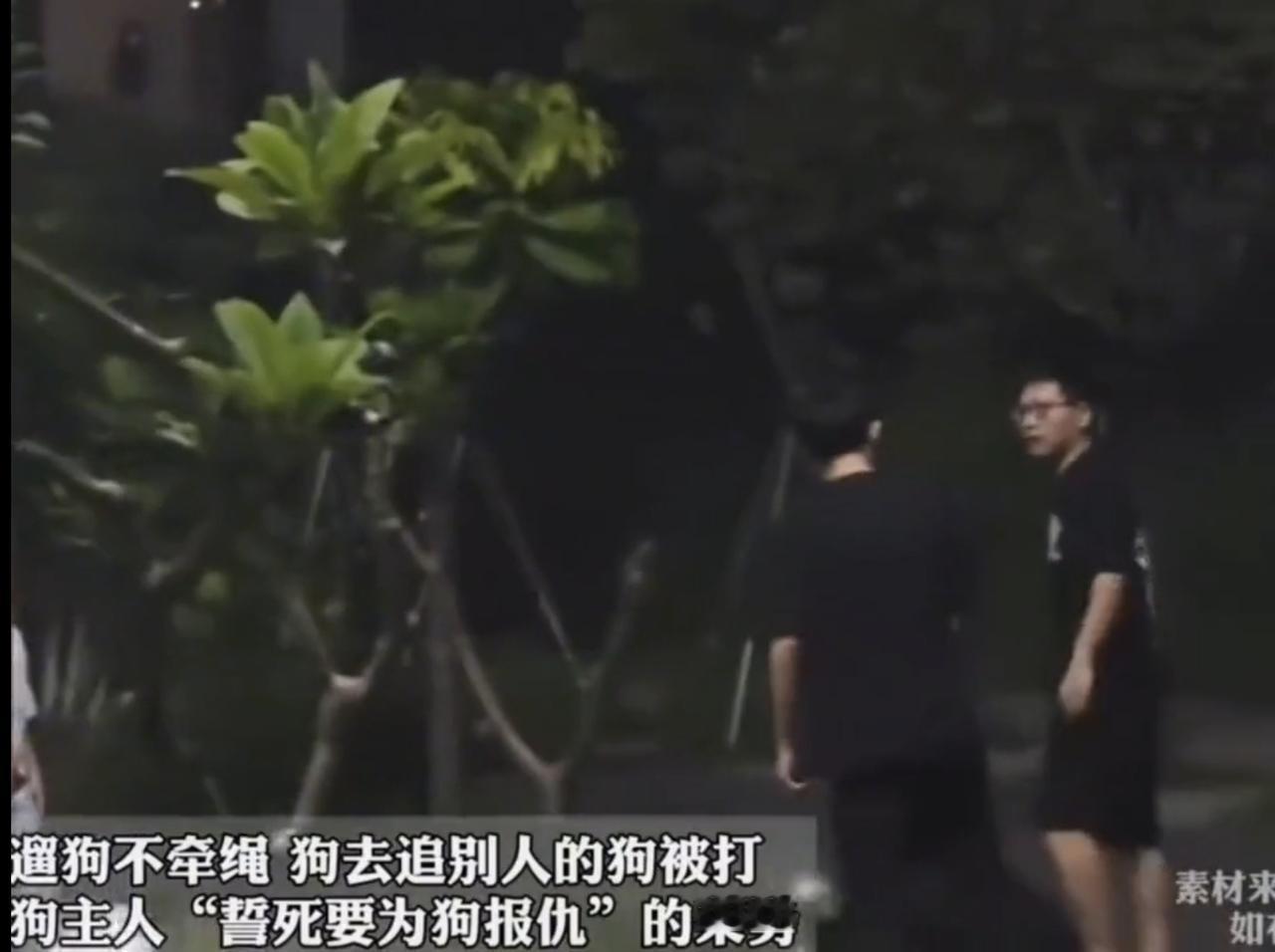 “那咋了”？一男子遛狗不拴绳，偶遇一对拴绳遛狗的夫妻。他的狗追上去咬了人家的狗而