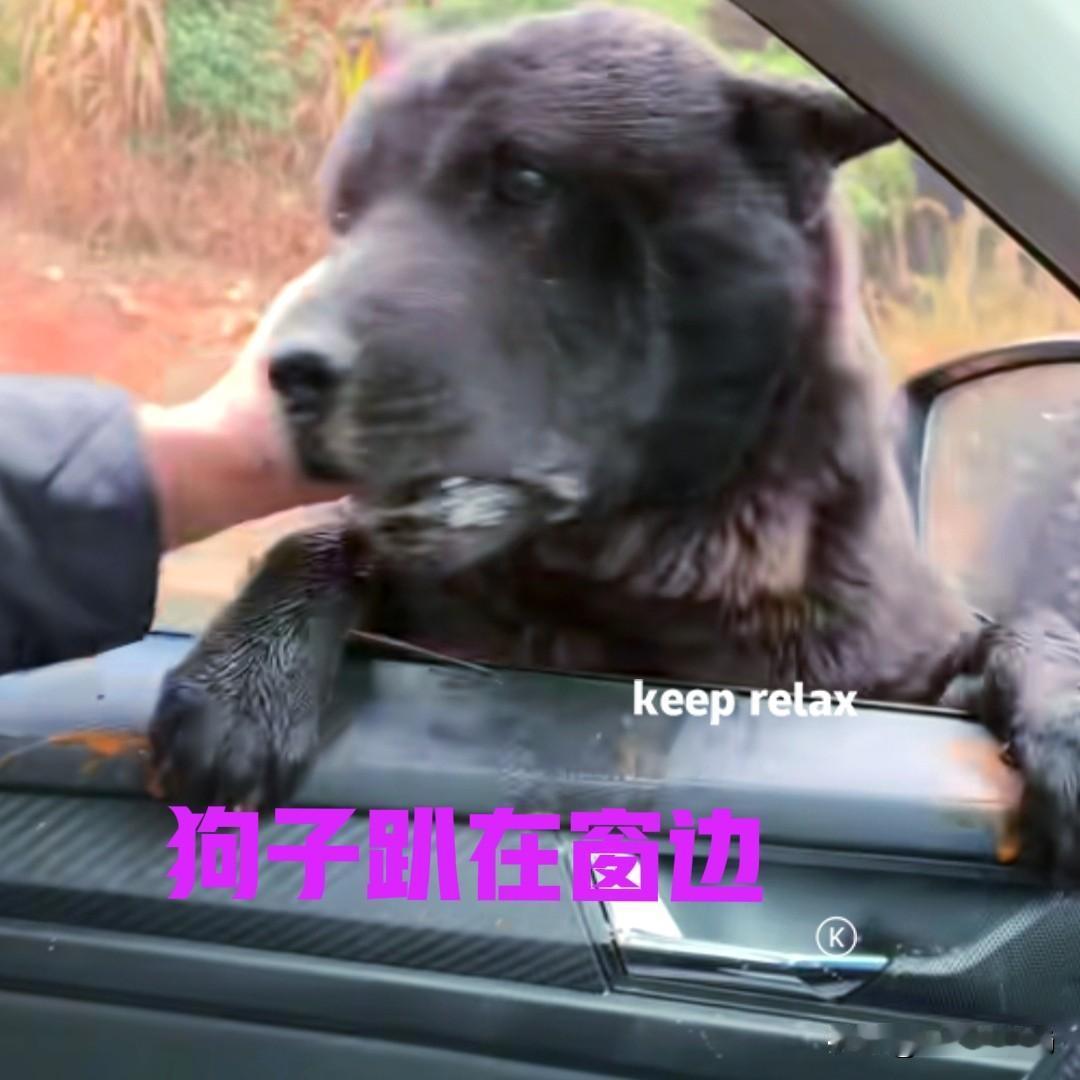 男子过完春节，准备出远门打工，车子打然火的那一刻，家里养了几年的狗子突然蹿了过来