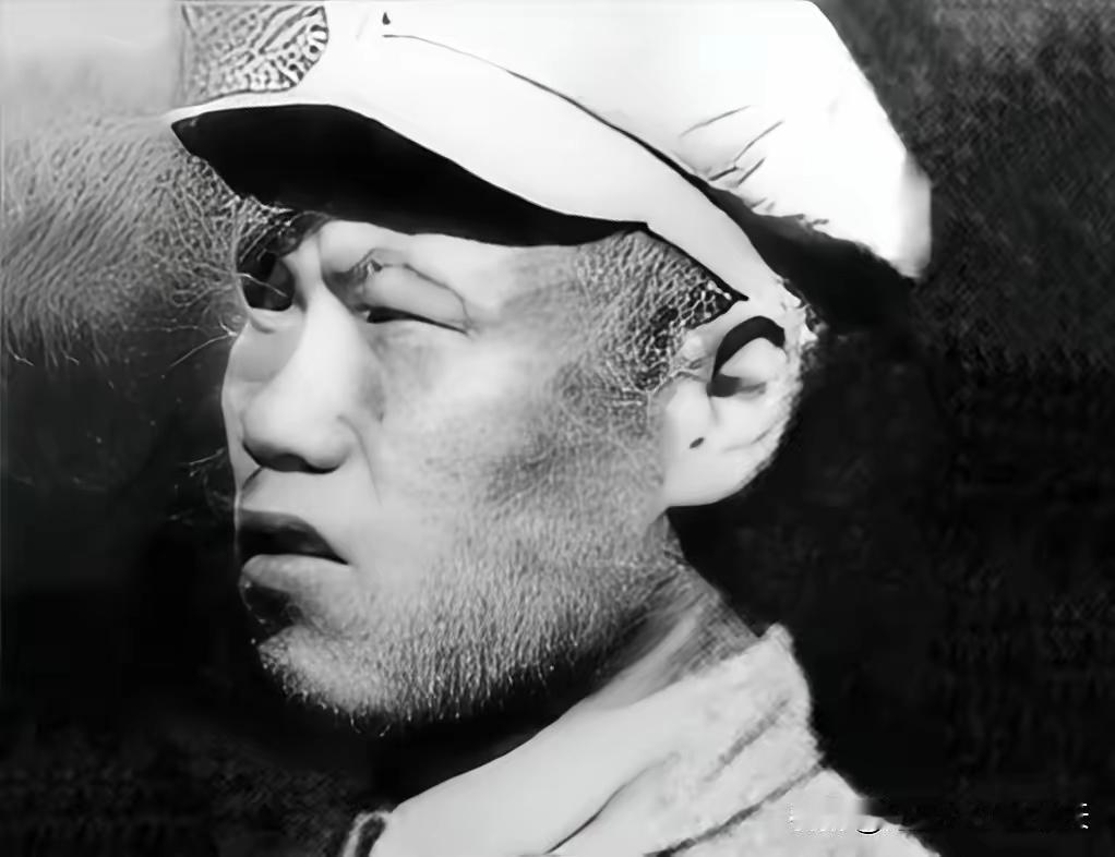 1951年抗美援朝：志愿军送弹兵见干部全牺牲，他的惊人举动立大功1951年