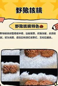 .荒野求生湖南通道icon杯挑战赛，56号选手姚姚跟节目组工作人员透露，他10天