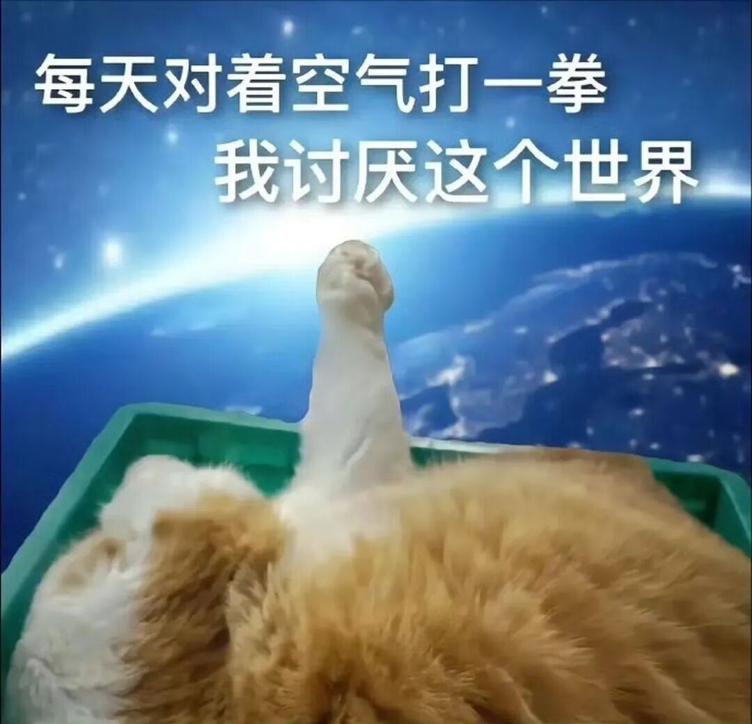 表情包‖实用的抽象表情包​​​