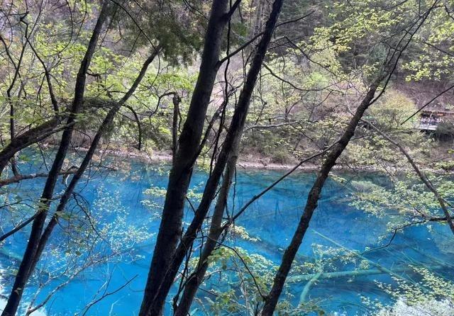 复旦大学陈果：“没有父亲的经济收入支撑，母爱就是扯，父爱永远不会比母爱少一丁点