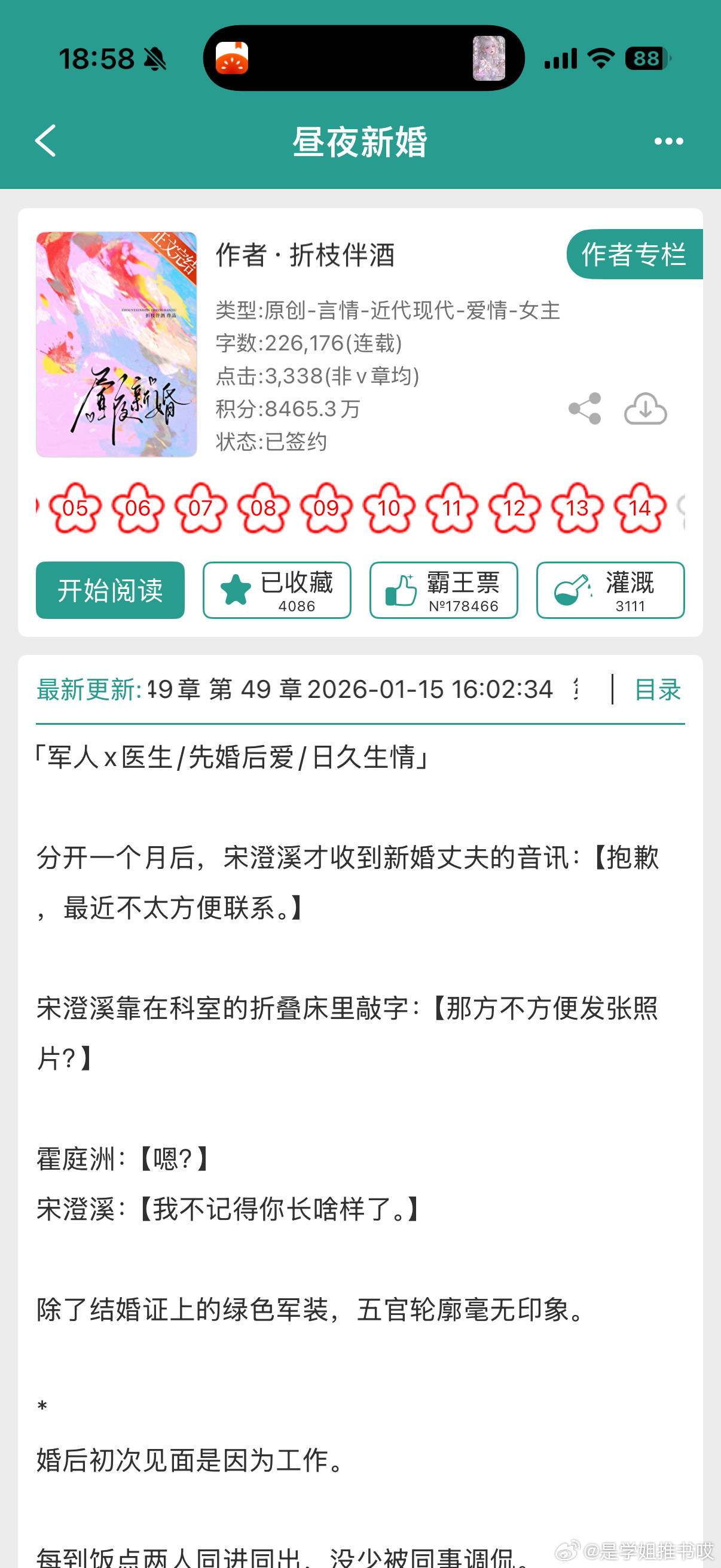《昼夜新婚》by折枝伴酒先婚后爱/军旅甜宠/双向奔赴/正文完结我要吹爆这本满分温