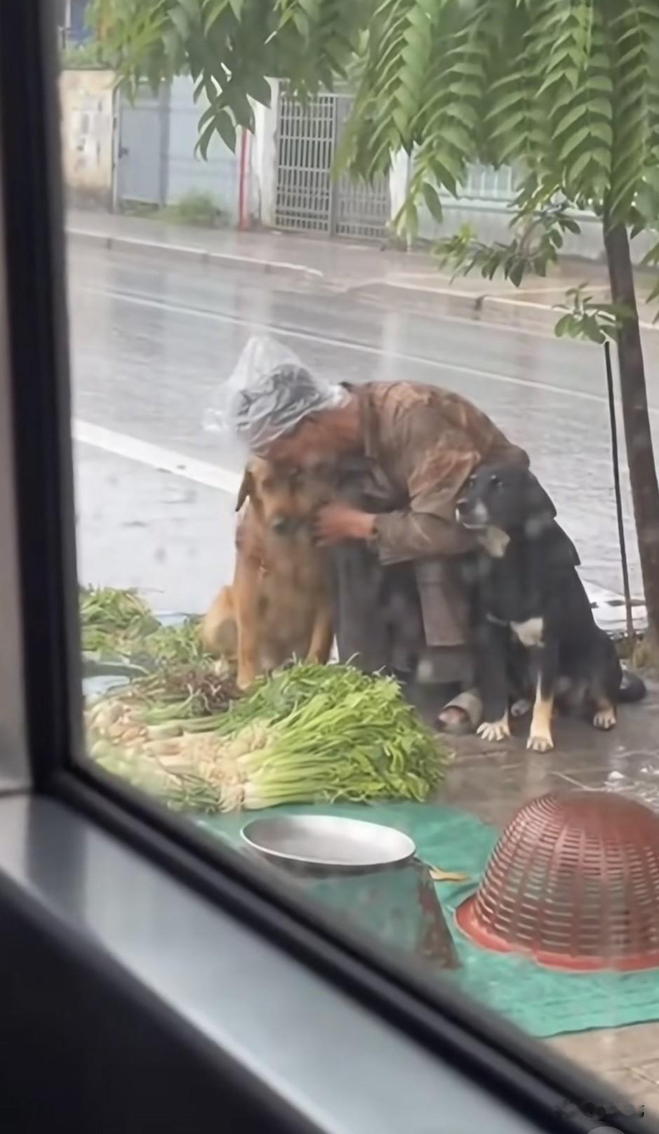泪目了！狗狗真的是非常忠诚的动物，它不会嫌弃主人是否贫穷，只要认准了主人，就会一