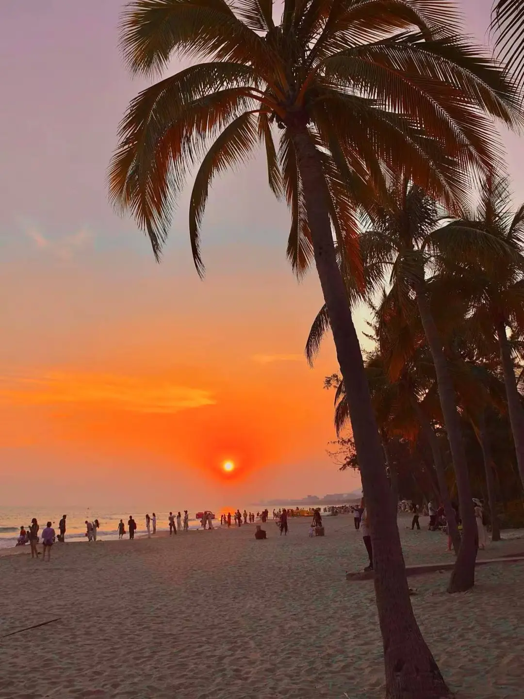 三亚🌴建议感觉能量低的人都去趟这里……