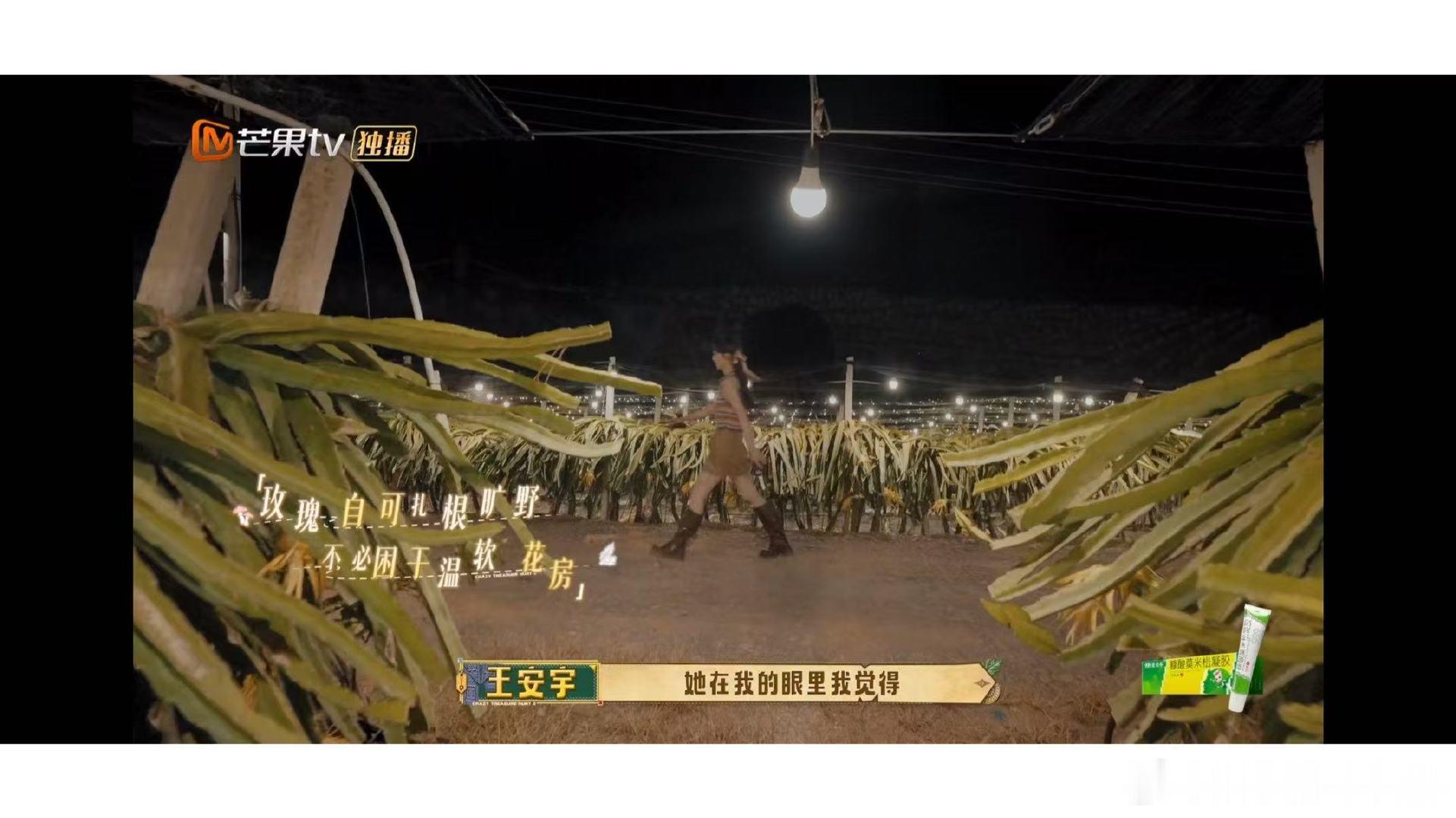 王安宇选择相信田曦薇王安宇对田曦薇说的这段话为什么这段对话能引起这么大共鸣？因