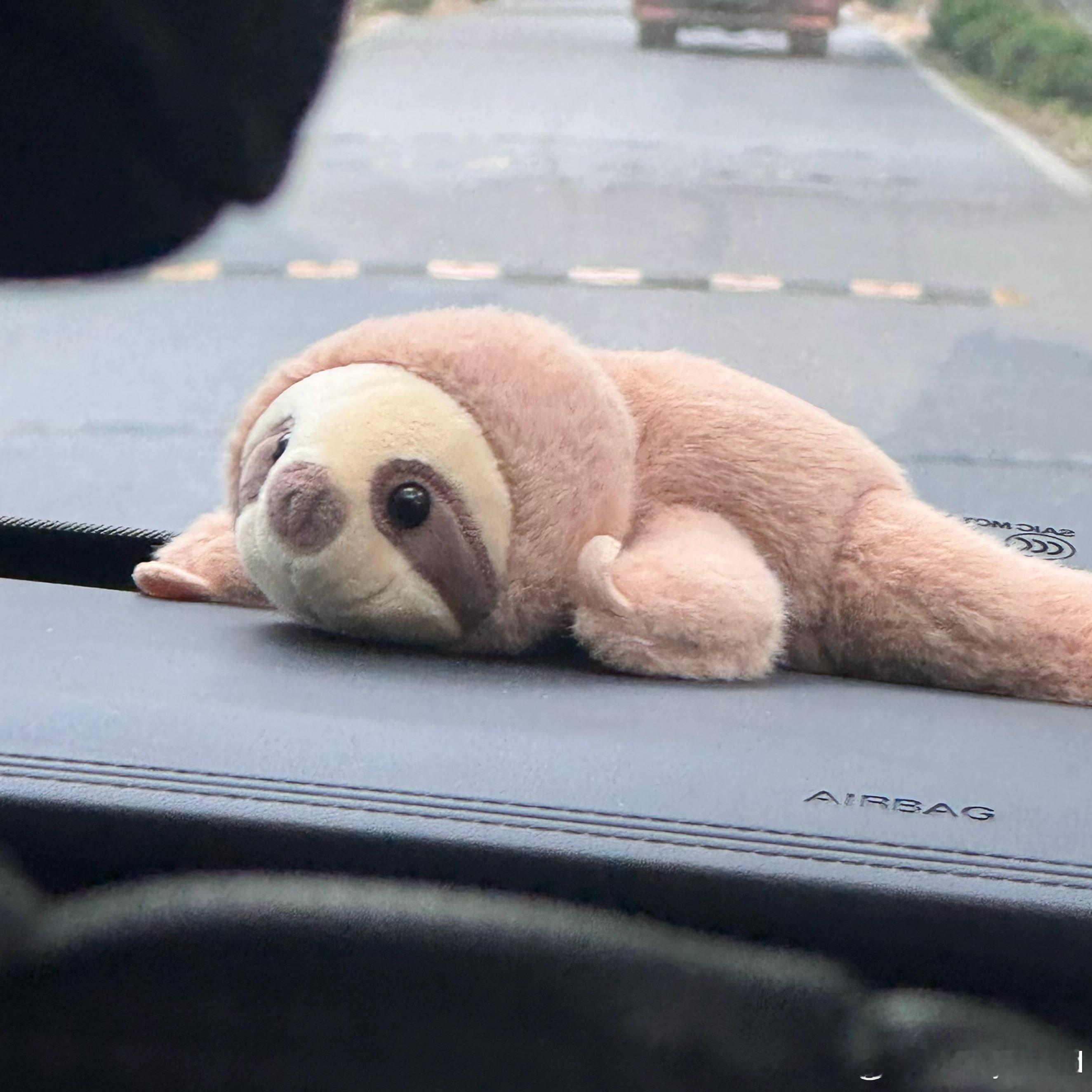 眼熟你哦​​​