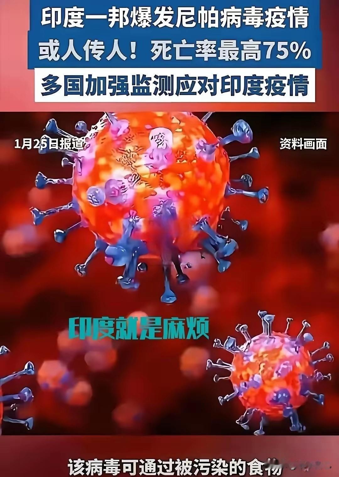 印度尼帕病毒又要来了，人传人的，死率有75%。这个时候恰逢我们春节，人员流动