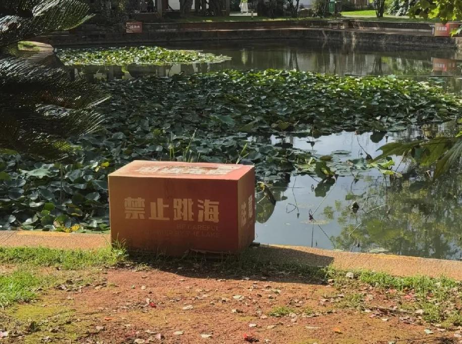 云南人对蛇的“淡定”，是我这辈子学不会的技能！刚逛昆明大观楼，本来美得想原