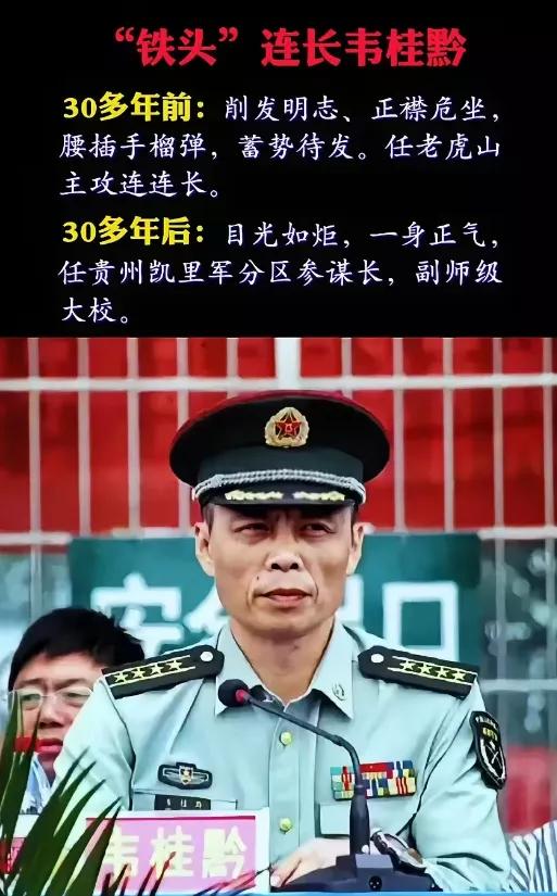 三十多年前，老山前线，出发前夕，老虎山主攻连连长韦桂黔，正襟危坐，腰缠万弹，他削