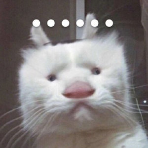 猫冰箱冻手不能摸原来不是所有猫都喜欢冰箱啊，我表妹家的猫挺喜欢钻冰箱的[捂脸哭]