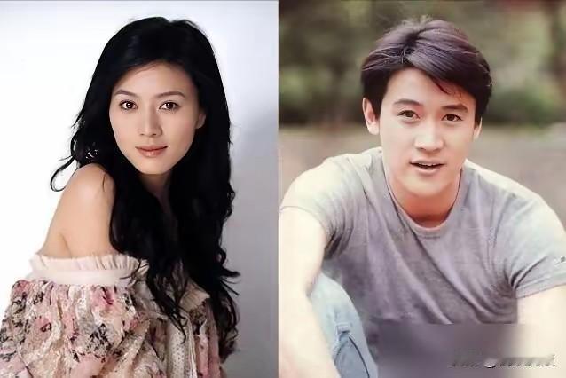 陆毅的前任和现任颜值对比，哪个气质更胜一筹呢？陆毅