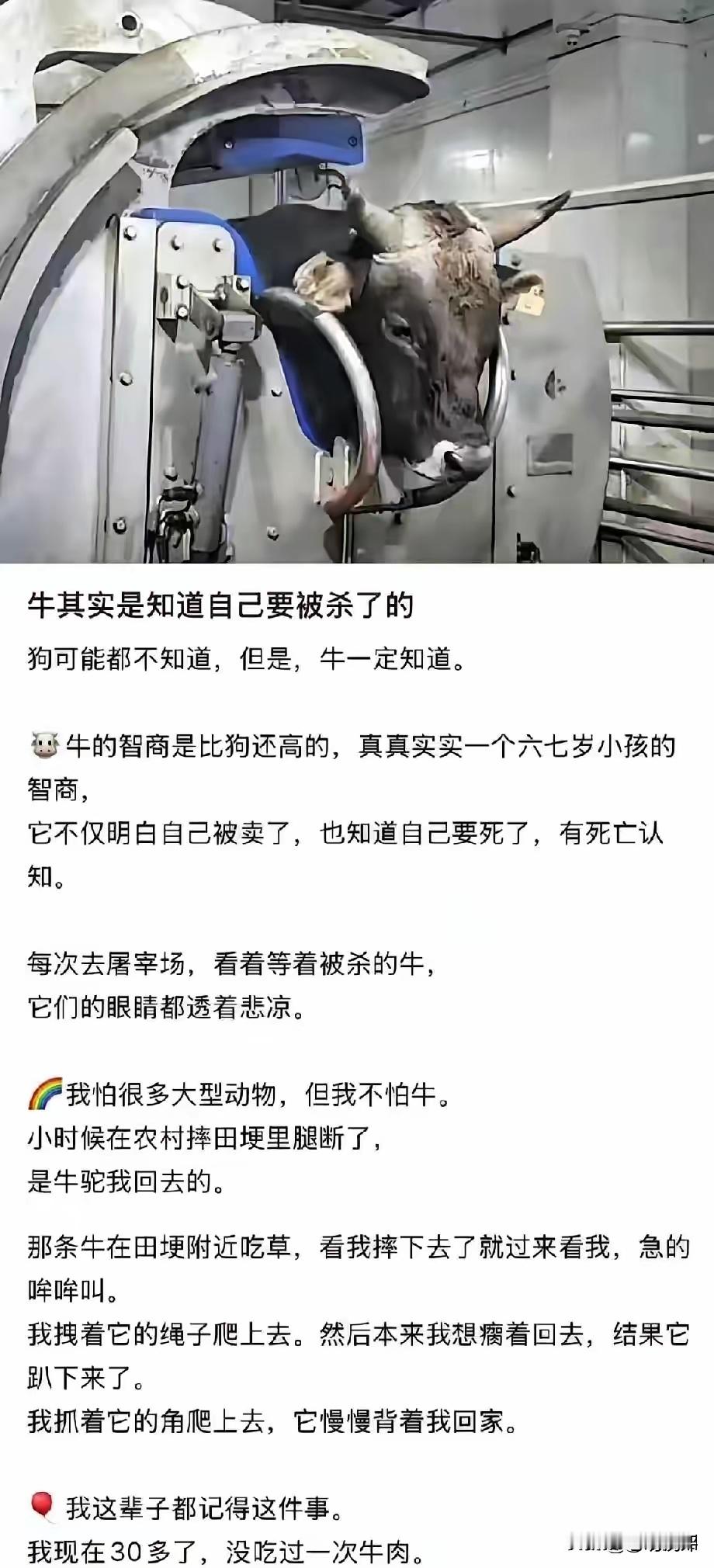 大型动物的脑容量相应的更大，确实能够理解很多东西