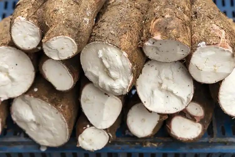 吃一口就没命？五种常见却致命的食物，看看你吃过几个？吃错一口，命可能就没了。