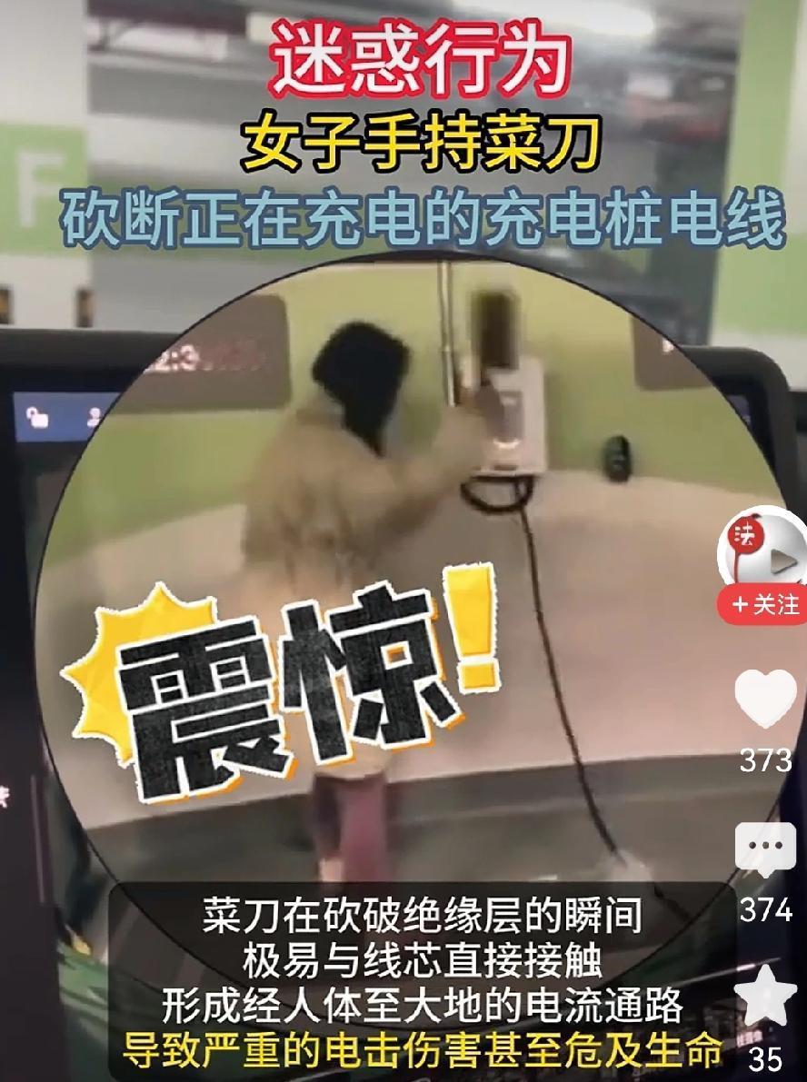 女子持菜刀砍断充电中的充电桩电线，本人毫发无损近日，一则“女子持菜刀砍断充电