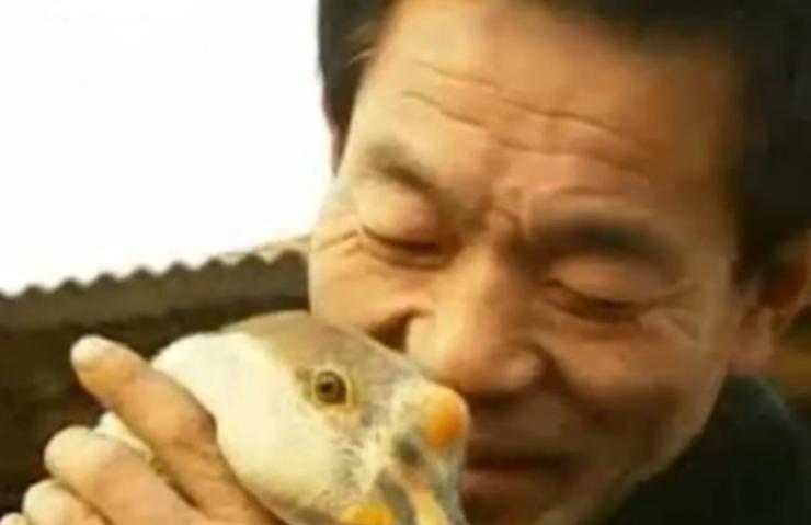 [点赞]“凭什么你家没被偷？”2008年，河北某农村集体遭贼，小偷一晚上偷了全