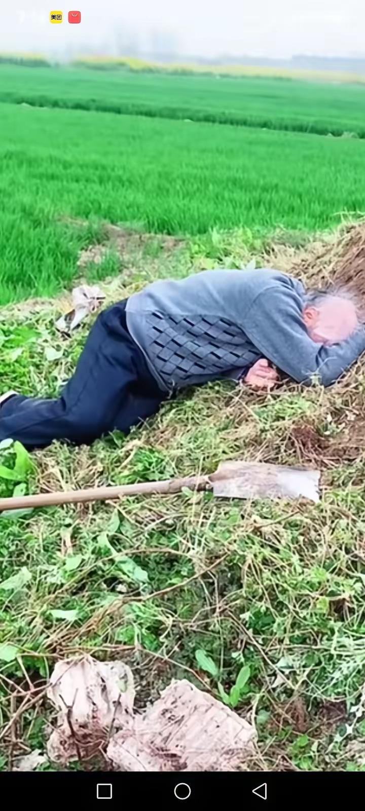 泪目！年迈的父亲执意要去给父母上坟，​祭拜完后，直接趴在坟前失声痛哭。网友纷纷