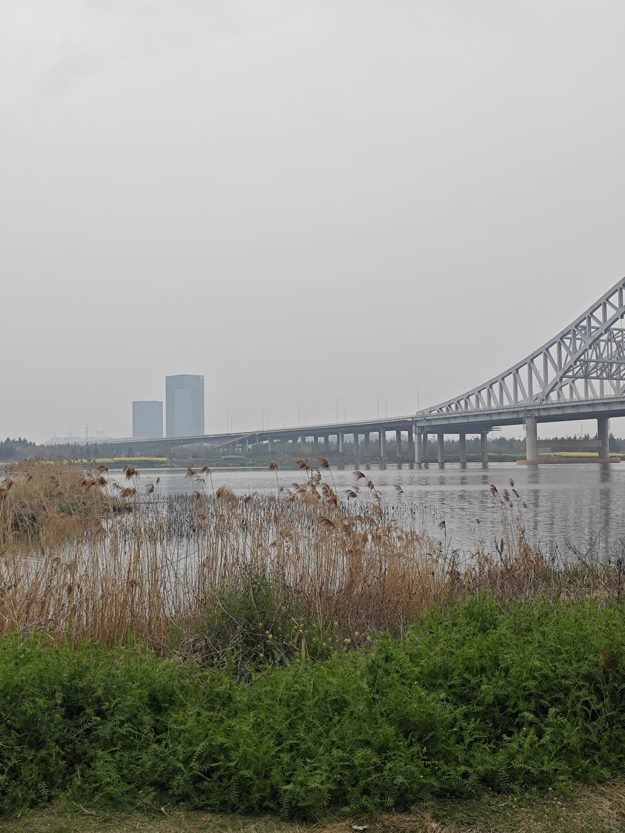 每年退休的中小学教师有多少人能评上副高职称？教师副高评定副高退休待遇这个问