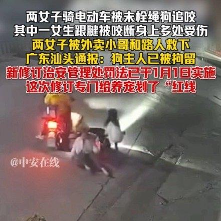 最近广东汕头出了件让人揪心的事儿——两个姑娘骑着电动车好好走着，突然窜出一条没拴
