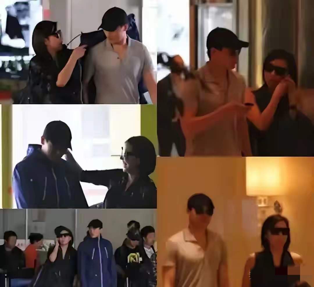 疑似张婉婷曾介入董璇高云翔婚姻贵圈真乱！张婉婷自曝当小三，高云翔被扒出符合细节，