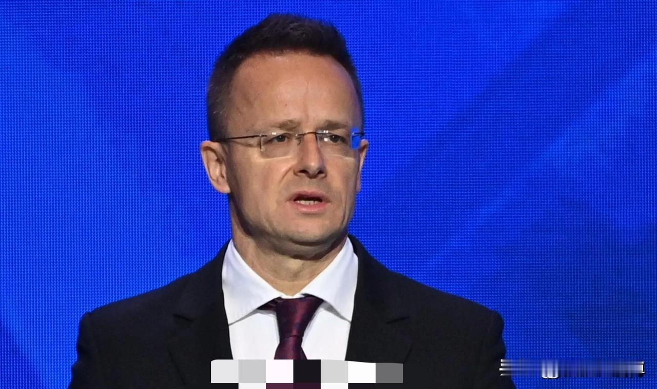 就在刚刚,匈牙利突然宣布了!匈牙利外长西雅尔多表示,匈牙利行使否决权,泽连