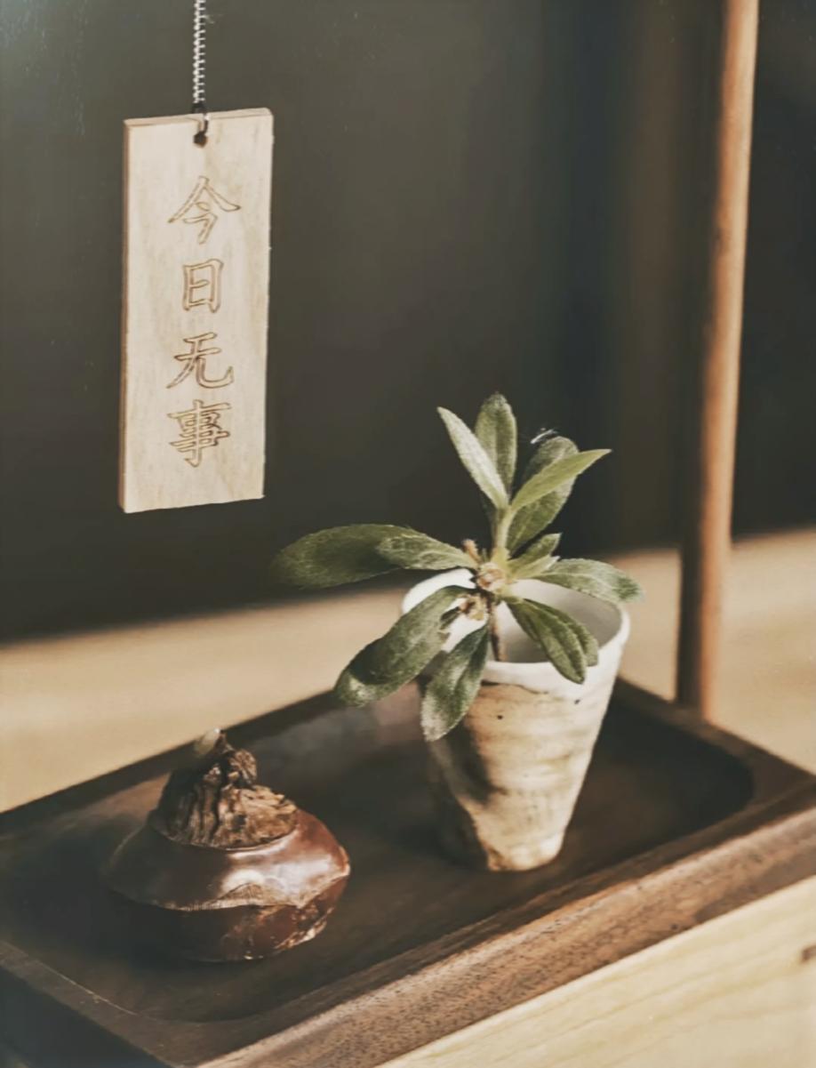 瞬间醒悟的一段话：“人，只有敢舍，才能真正坦然无惧地行走于世。什么都想要，