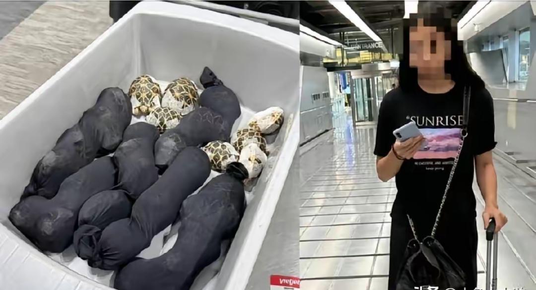一名19岁中国台湾籍女性游客，28日在泰国曼谷机场准备搭机返回中国台湾时，因胸部
