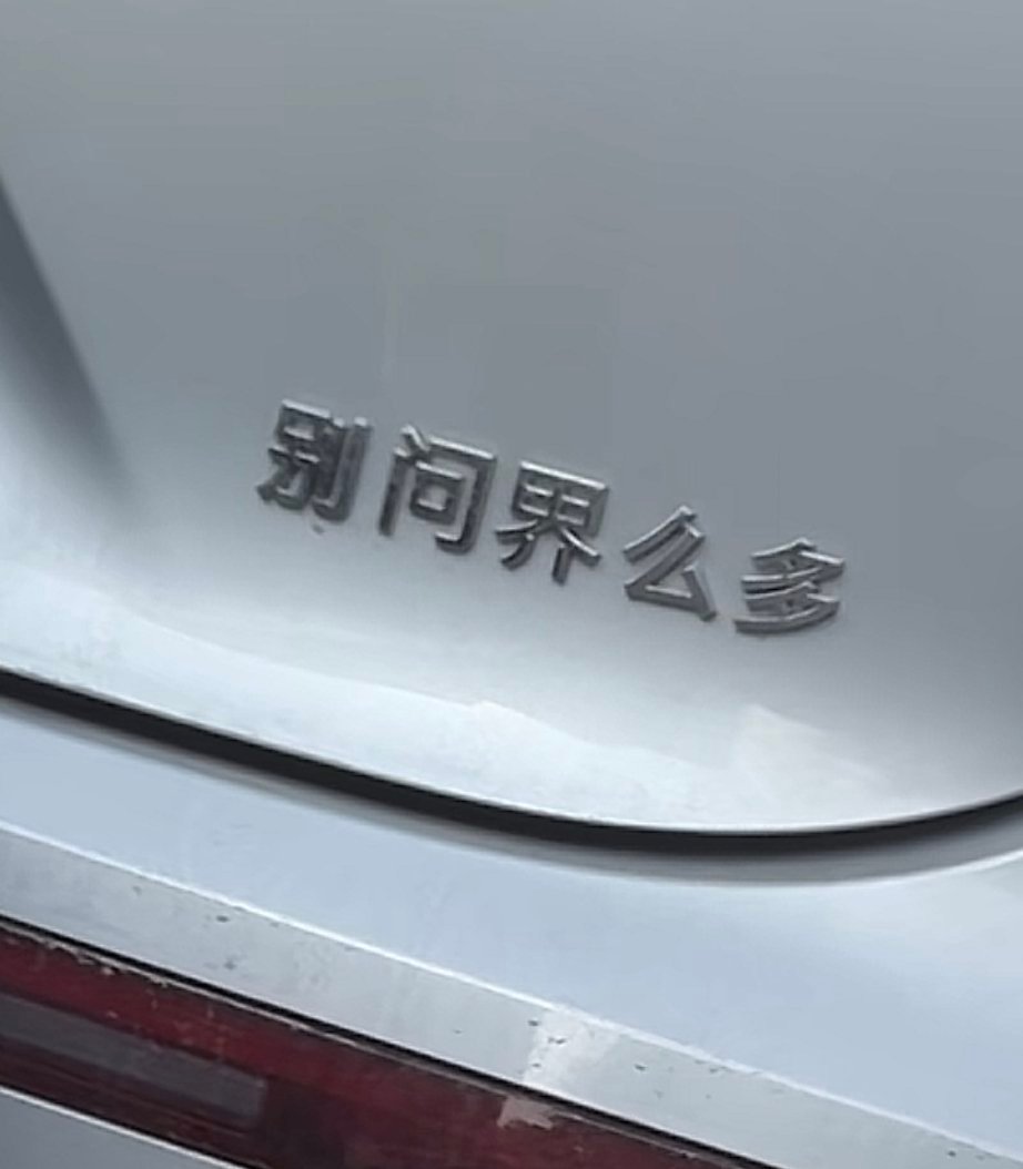 现在的车主真是太有才了[大笑]​​​