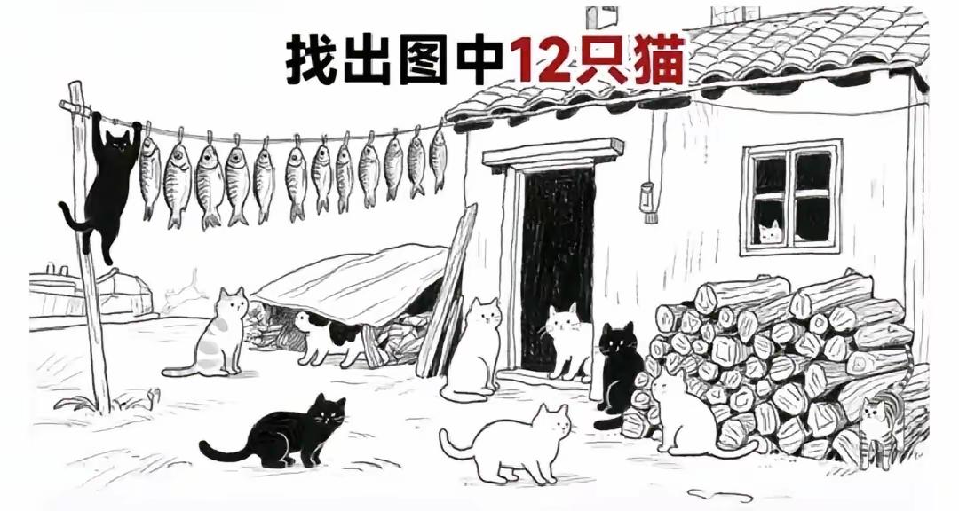 找齐12只猫不好找吧