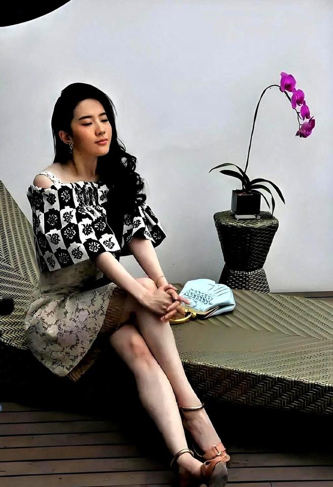 刘亦菲明年要“杀人”了。不是形容词。是她在新剧《玫瑰的故事》里，第一次演谍报