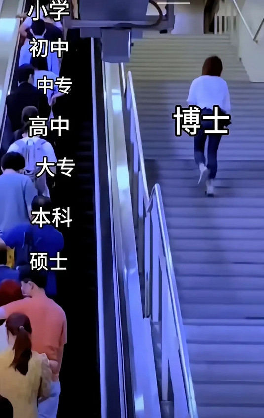本科第一学历才有含金量，博士水份很多。