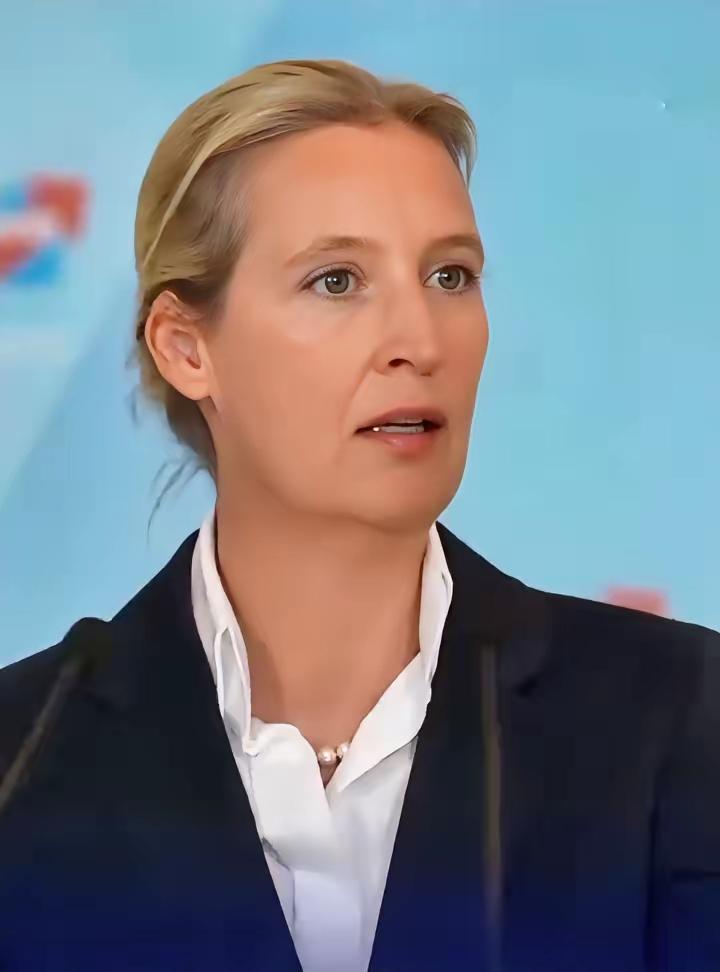 德议会炸锅！德选择党主席怒怼总理：想打仗就自己上乌克兰前线！