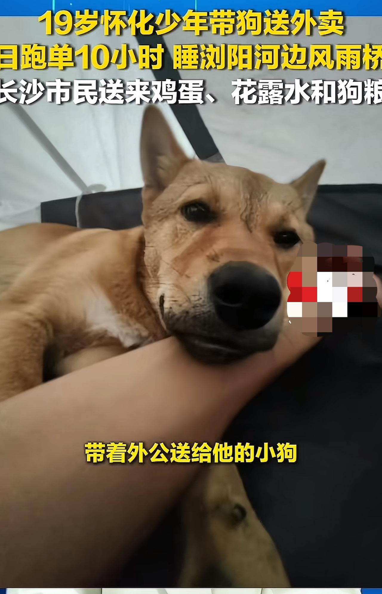 那个睡在浏阳河桥下的19岁外卖员，让整座长沙城破防了前天深夜，长沙，浏阳河风雨