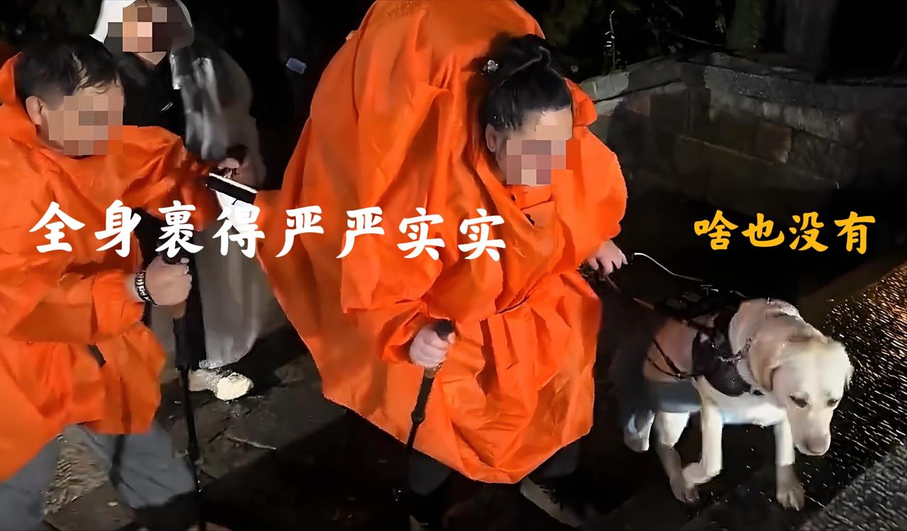我去查了一下，我国的导盲犬，正在服役的大约是400只，加上退役的大约也才