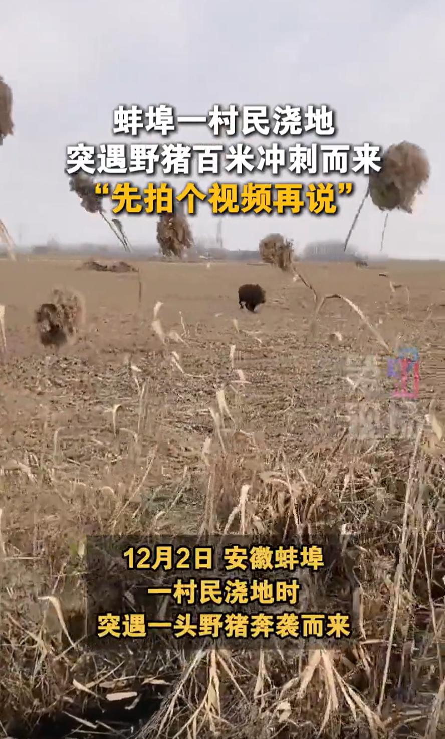 这心也太大了！安徽蚌埠，一男子在村里浇地，远远处突然有一个东西奔着自己跑过来，仔