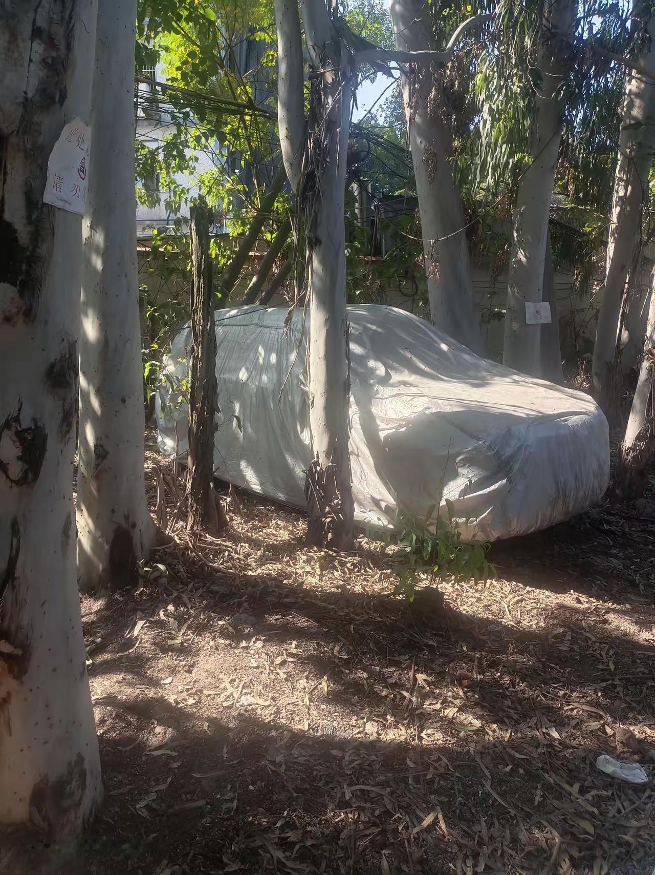 首批新能源车主已经蒙圈了，他们不知道到底应该换车还是换电池。如果换电池的话，电