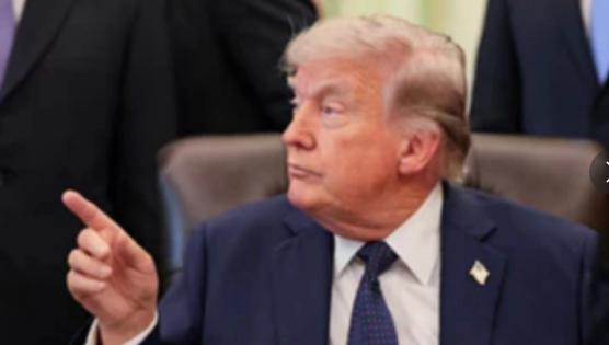 特朗普“清空”美国科学天团！22名美国顶级专家收邮件：你被裁了。24日，美国