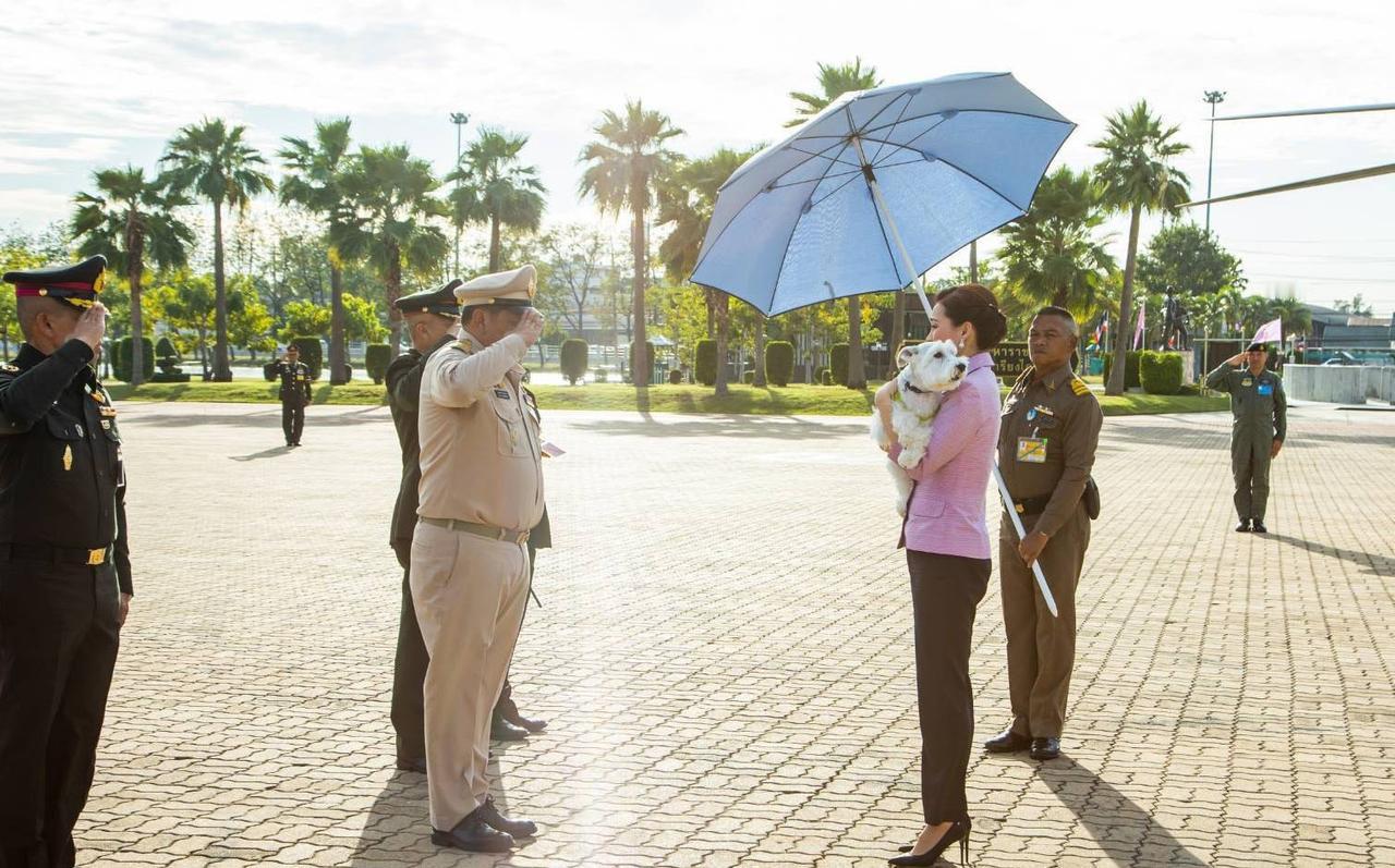 泰王的女人，出行有人打伞。她们只需伺候好泰王一个人，却有一大群人为她们的衣食住行