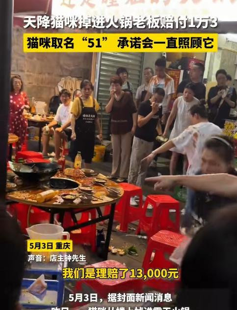 重庆一家露天火锅店，很多顾客正在用餐，突然一只猫咪从楼上掉进火锅热汤里，正在用餐