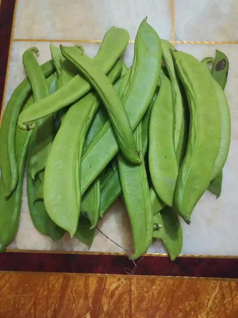 个个暗藏“猛毒！”有人误食之后诱发尿毒症，可普通家庭照旧时常食用，昔日更是集