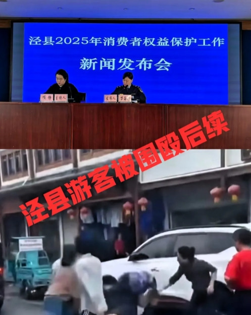 泾县这板子终于打对了地方。游客蔡某在桃花潭停车挨揍的事，调查组一锤定音。唐