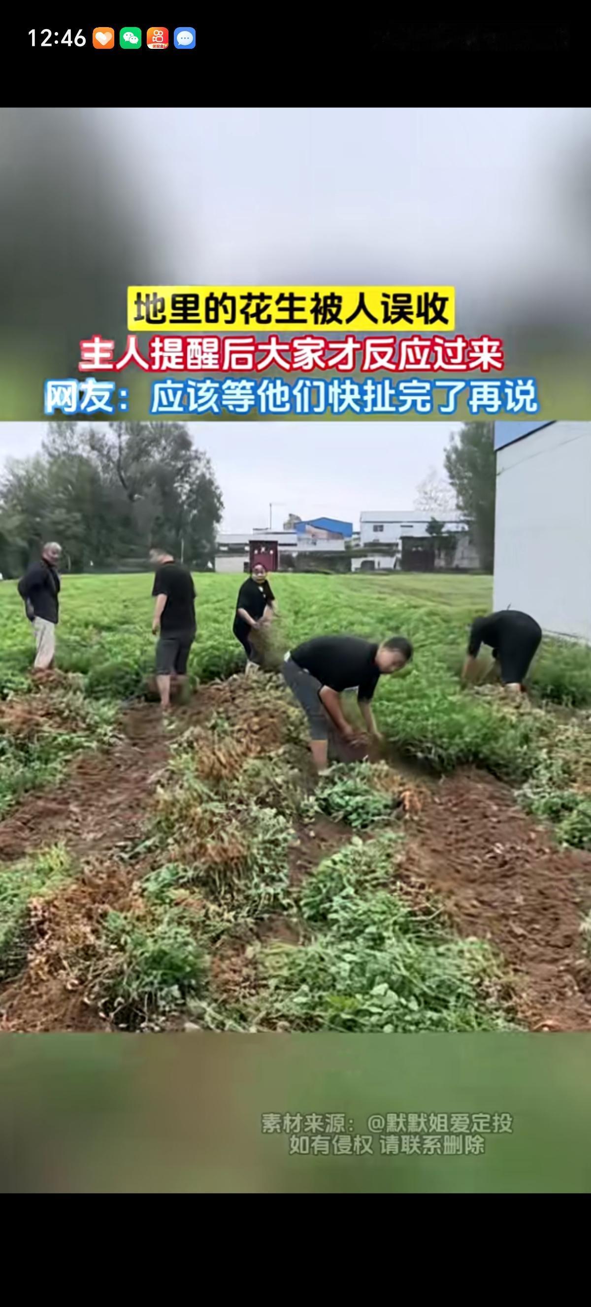 大姐早上下地去拔花生，结果到了地里发现自家花生被邻居拔了一多半了。大姐上去就问：
