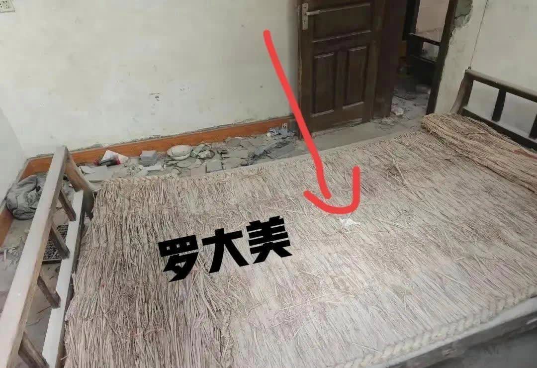 ?罗大美躺在这张破旧的棕榈垫上，平静地度过了人生的最后一刻，心里应该是不再害怕了