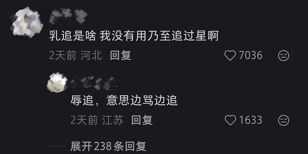 入追是啥一些乐子