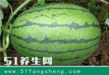 美女吃西瓜差点把命吃没了, 只因她是这么吃西瓜的, 医生哭笑不得!
