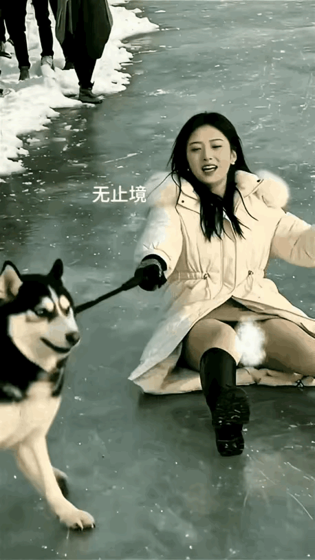 二哈你真狗呀，你主人都被你拖行了！二狗太搞笑了二狗太搞笑了二狗打人哈士奇狗