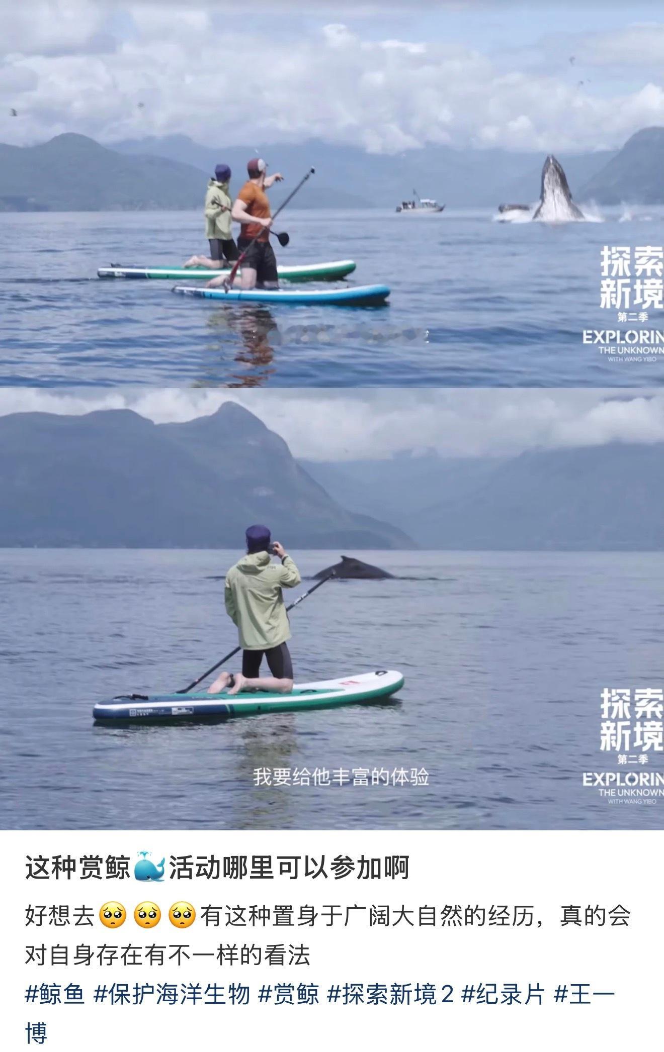 王一博就这样划着小船赏鲸
